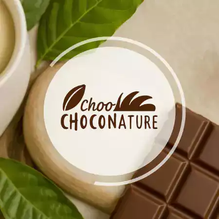 Fresh cocoa pods growing on farms in Chikmagalur district Karnataka where we buy our organic beans from local farmers